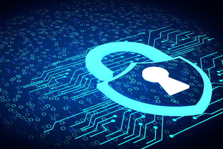 Asana et la protection des données