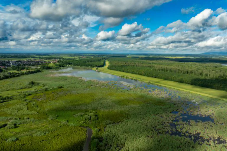 A nature reserve from a bird’s-eye view
