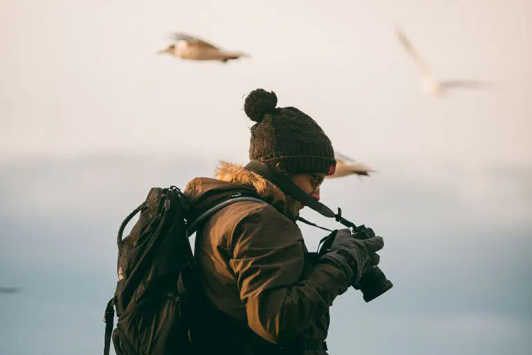 Man takes pictures of birds in flight