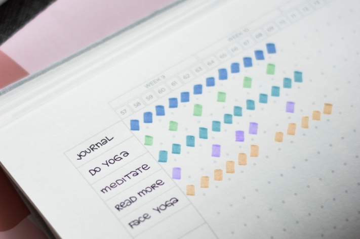This habit tracker is simple and shows the habit, the day and with a colored line whether the behavior was performed.