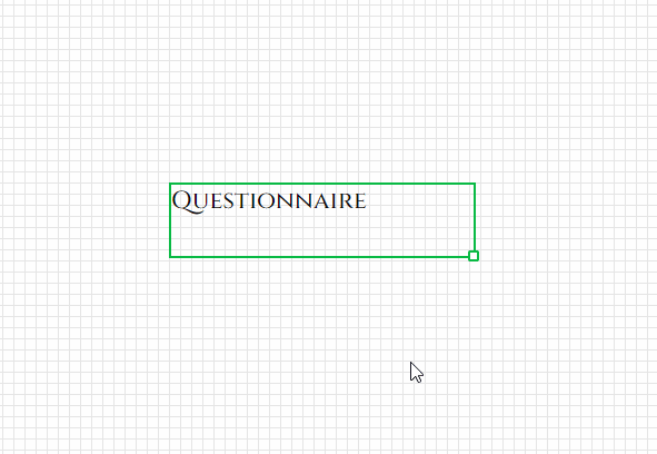 Agrandir le champ de texte statique