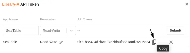 Copying the API token to the cache