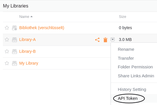 Abra la configuración avanzada de una biblioteca y haga clic en API Token