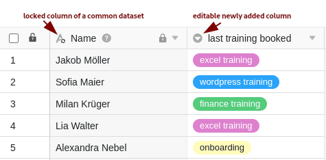 Column of a common dataset locked for editing (left) and editable column newly added to a common dataset (right).