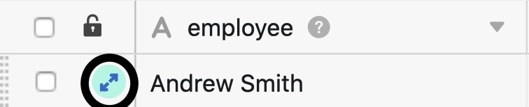 Open the rows log