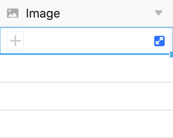 First double-click in any row of an image column or click on the blue arrow