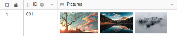 Image preview in the image column of SeaTable