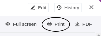 Print entries of a page design plugin