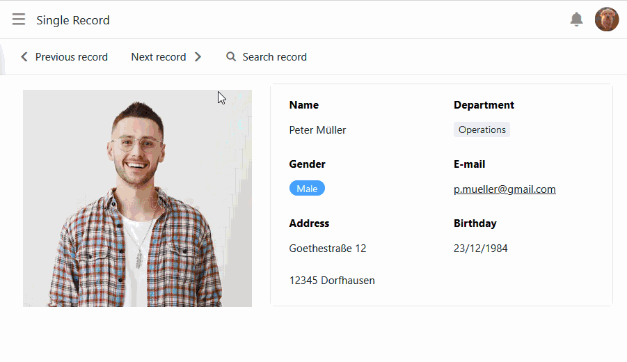 Переключение между записями на страницах с одной записью