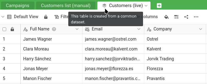 The synced Common dataset table in Campaign Hub, marked with the common-dataset icon