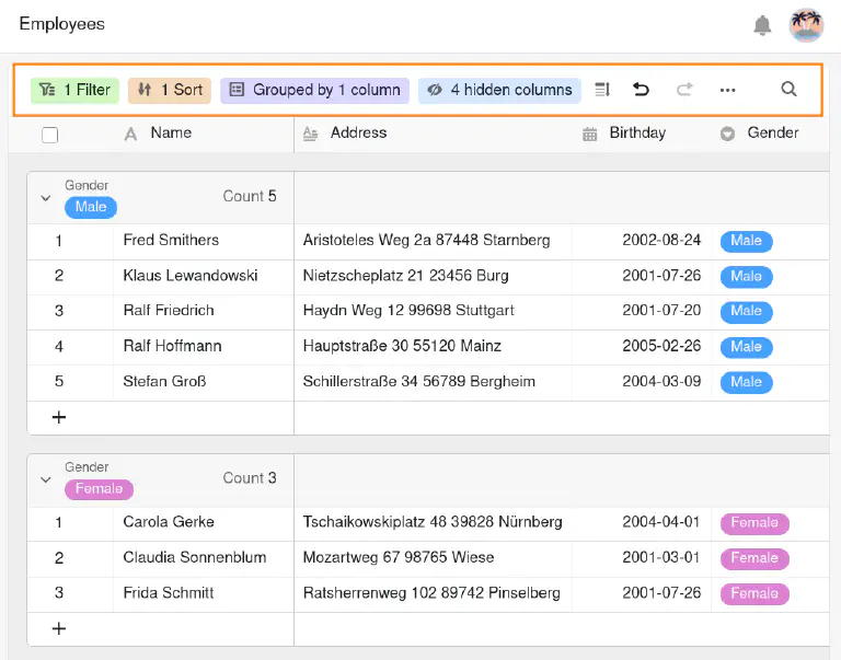 User view options on table pages in SeaTable Apps