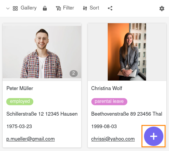 Añadir un nuevo registro en la vista de galería