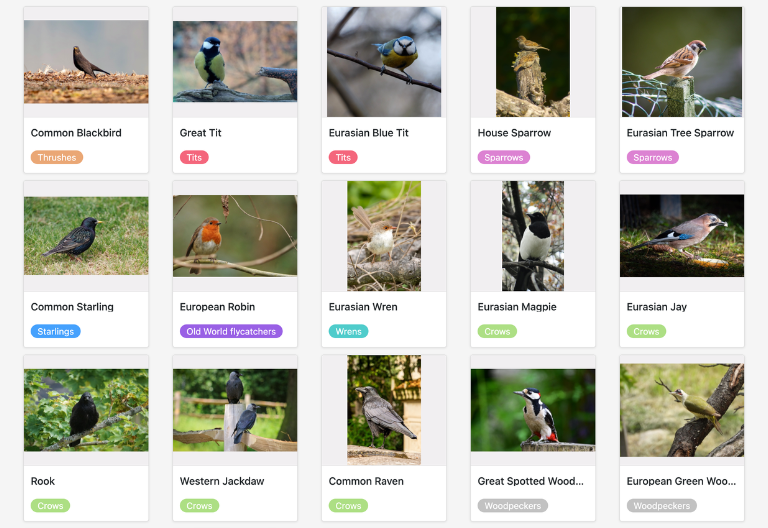 Bird app with a species list and photo documentation of native and migratory birds shown side by side
