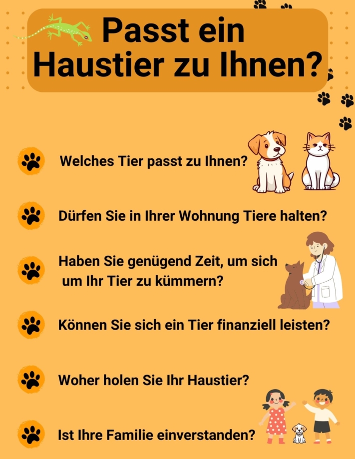 Eis uma lista de perguntas que deve fazer a si próprio antes de comprar um animal de estimação.