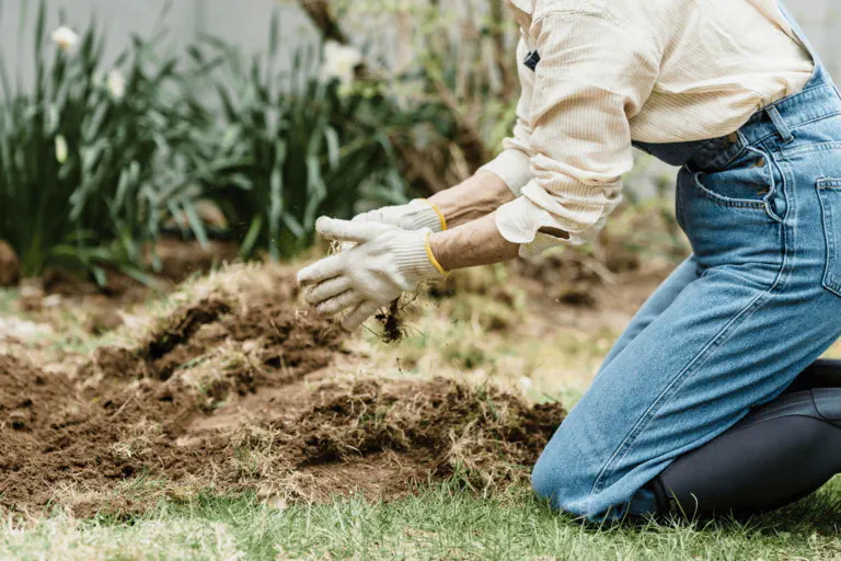Подготовить грядку
