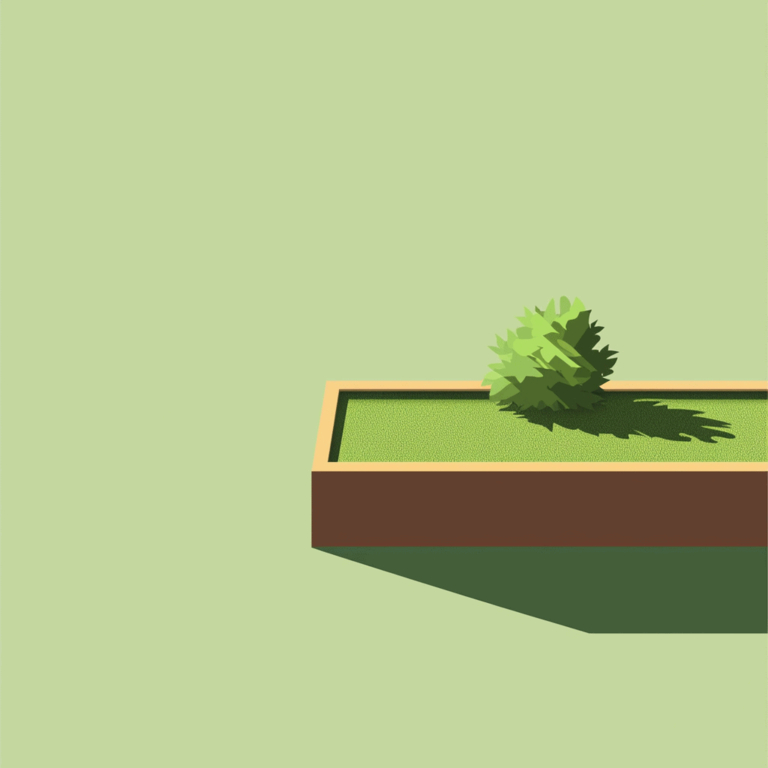 Pflanzplan und Fruchtfolge: Expertentipps für Ihren Garten