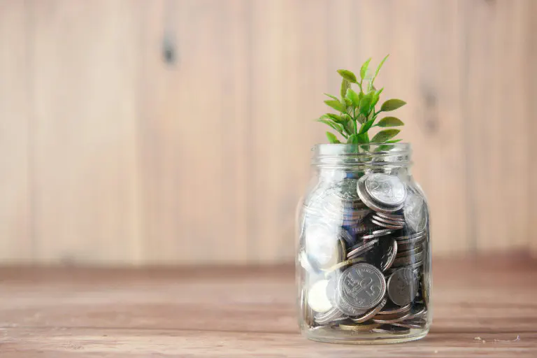 Create profitability forecast