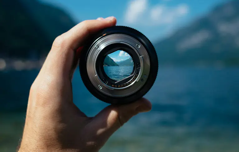 profitability forecast with foresight