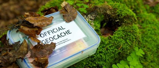 La vida cotidiana Feature Image