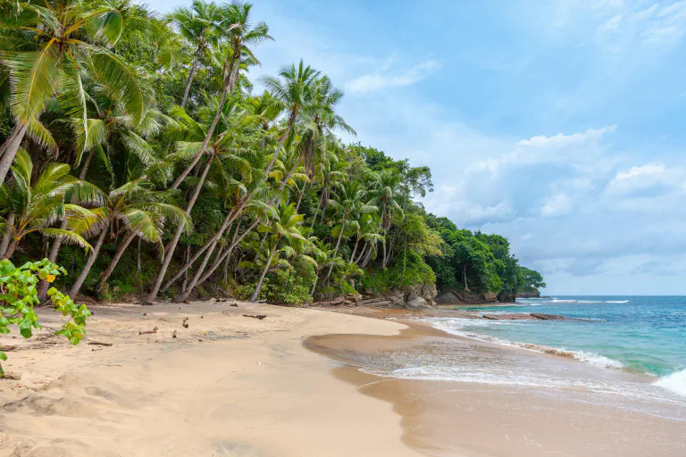 Tropical beach: sharpening sensory perception for the travel diary